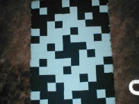 Proj_Linus_Ragged_quilt_back.jpg
