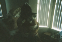 772735_R1_07_6A.jpg