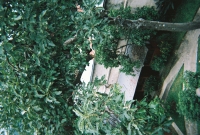 772735_R1_17_16A.jpg