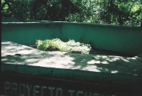772735_R1_26_25A.jpg