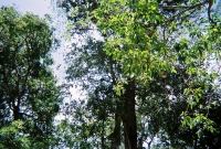 772736_R1_03_2A.jpg