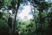 772736_R1_04_3A.jpg