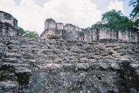 772736_R1_05_5A.jpg