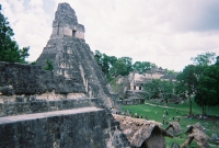 772736_R1_06_6A.jpg