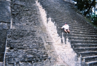 772736_R1_07_7A.jpg