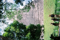 772736_R1_09_9A.jpg