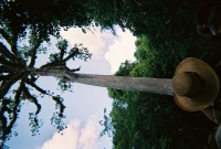 772736_R1_16_16A.jpg