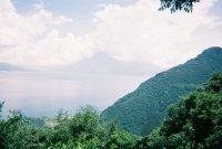 772736_R1_18_18A.jpg