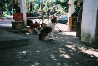 772736_R1_19_19A.jpg