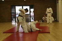 IMG_3227_480.jpg