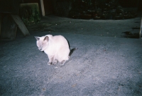 772736_R1_24_24A.jpg