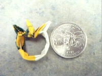 Pict0006.jpg