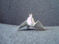 Pict0031.jpg