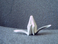 Pict0033.jpg