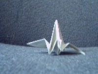 Pict0035.jpg