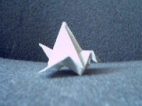 Pict0036.jpg