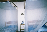 772737_R1_04_5A.jpg
