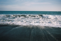 772737_R1_05_6A.jpg