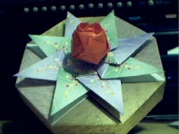 Pict0204.jpg