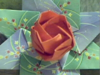 Pict0205_001.jpg