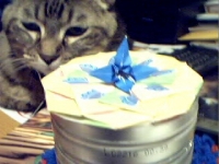 Pict0211.jpg