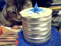 Pict0213.jpg