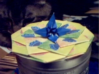 Pict0214.jpg
