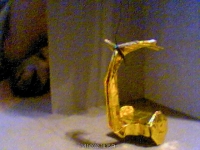Picture6.jpg