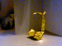 Picture7.jpg