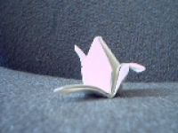 crane_side.jpg
