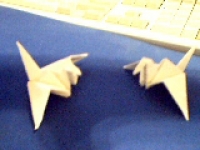 Pict0065.jpg