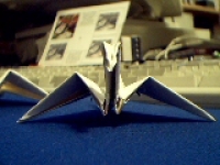 Pict0067.jpg