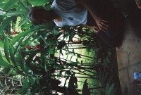 772737_R1_15_16A.jpg