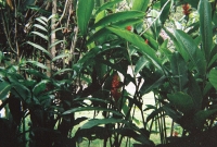 772737_R1_16_17A.jpg