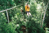 772737_R1_21_23A.jpg
